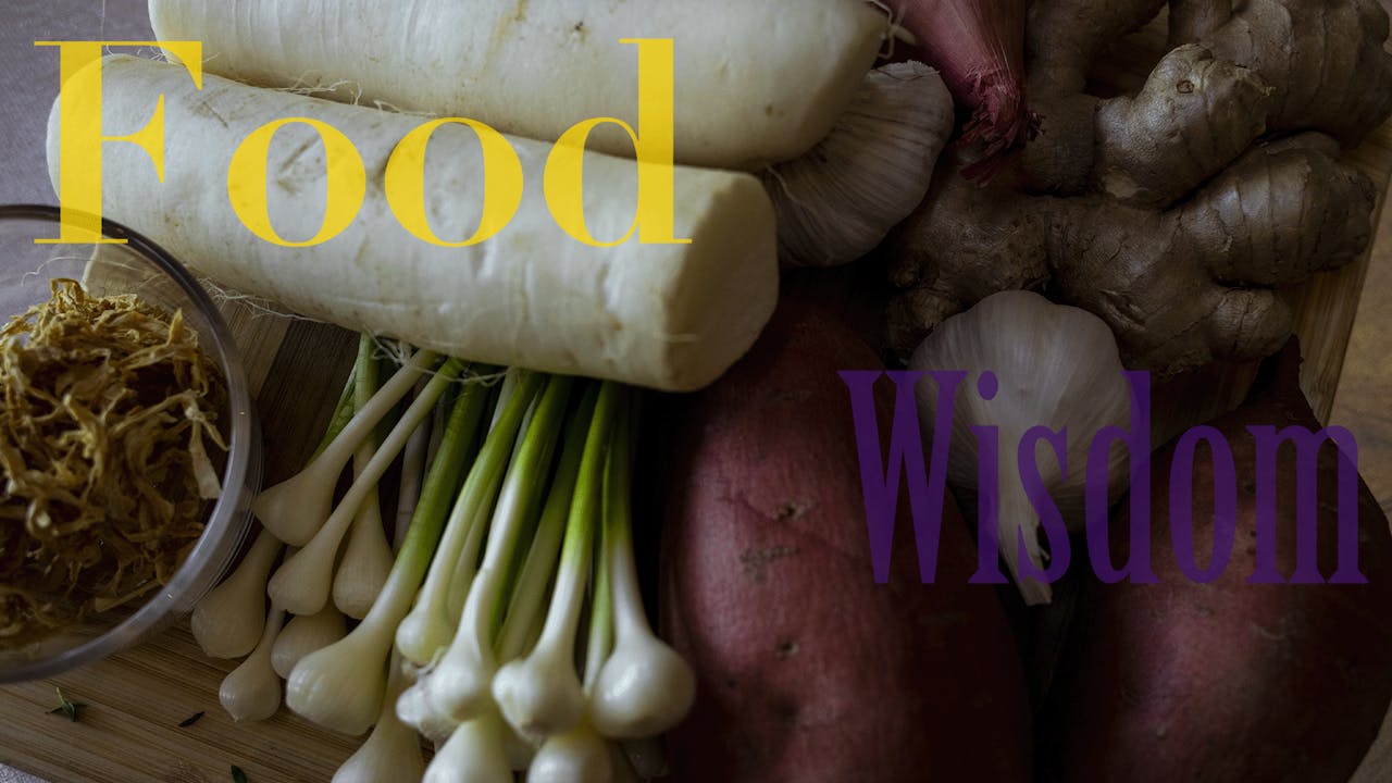 FOOD WISDOM SEASON 1