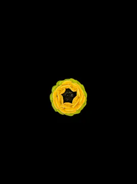 NEW - Sunflower 123