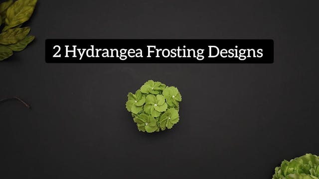 Hydrangea Flower Designs