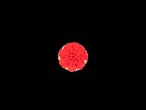 NEW: Pansy