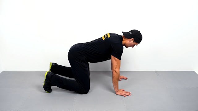 Bear Crawl Plank Hold