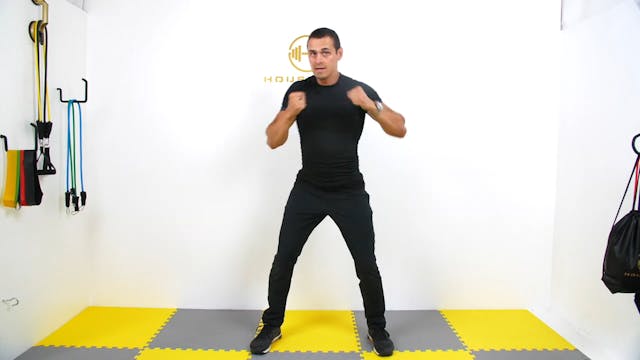 Alternating Front Punches