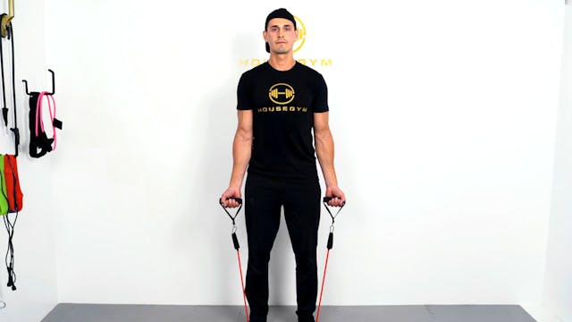 AlphaBand Isometric Bicep Hold