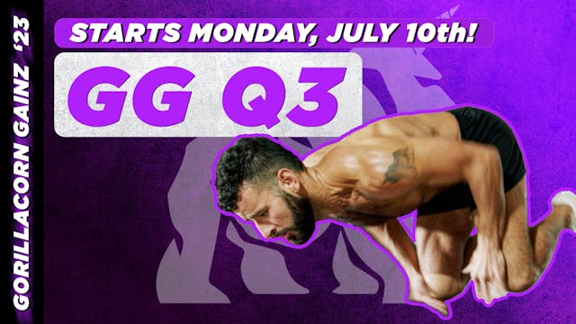 2023 Q3 GORILLACORN GAINZ Program
