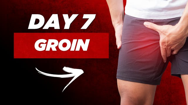Day 7: Adductors/Groin
