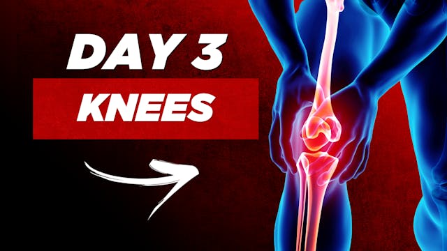 Day 3: Knees