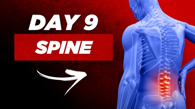 Day 9: Spine