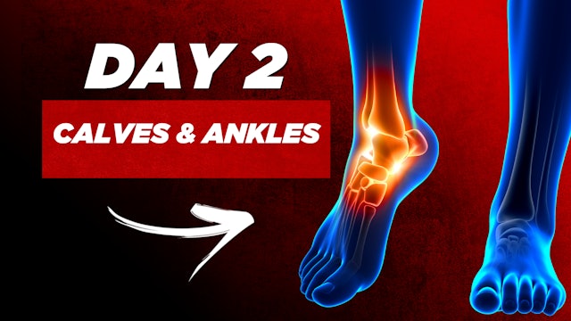 Day 2: Calves & Ankles