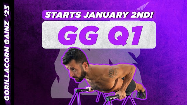 2023 Q1 GORILLACORN GAINZ Program