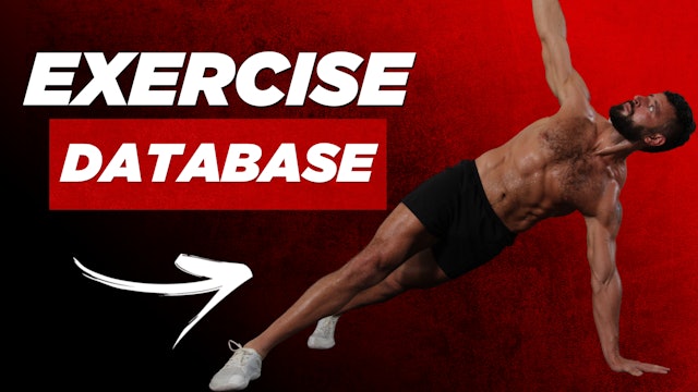 EXERCISE DATABASE: Most Popular Moves