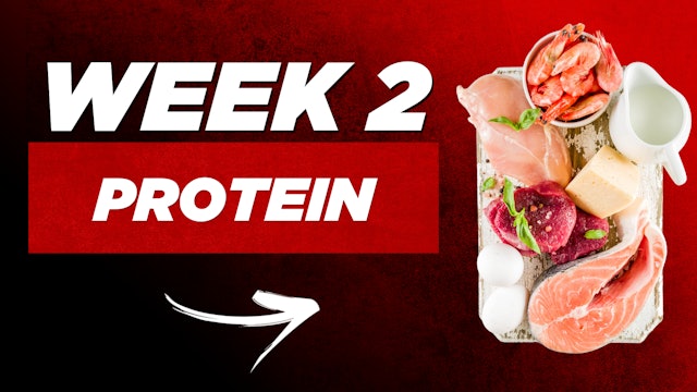 NUTRITION NUGGET 2: Protein