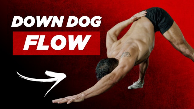DIRTY DOWN DOG FLOW (10 Minutes)