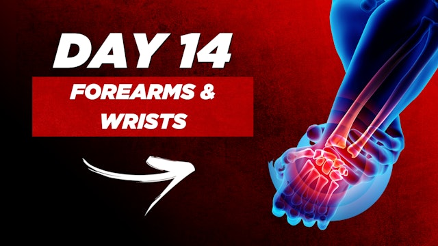 Day 14: Forearms & Wrists