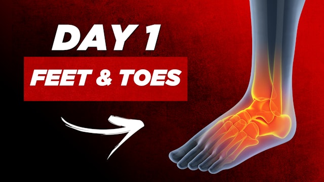 Day 1: Feet & Toes