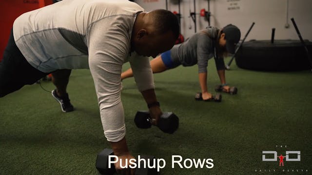 Individual Workout 37 - Pushup Rows