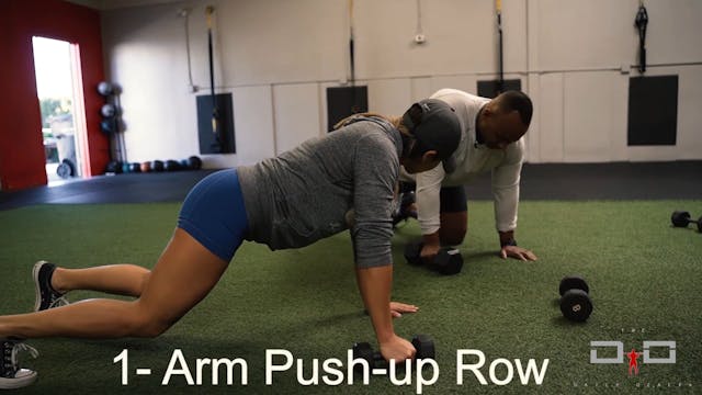 Individual Workout 16- Arm Push Up Row