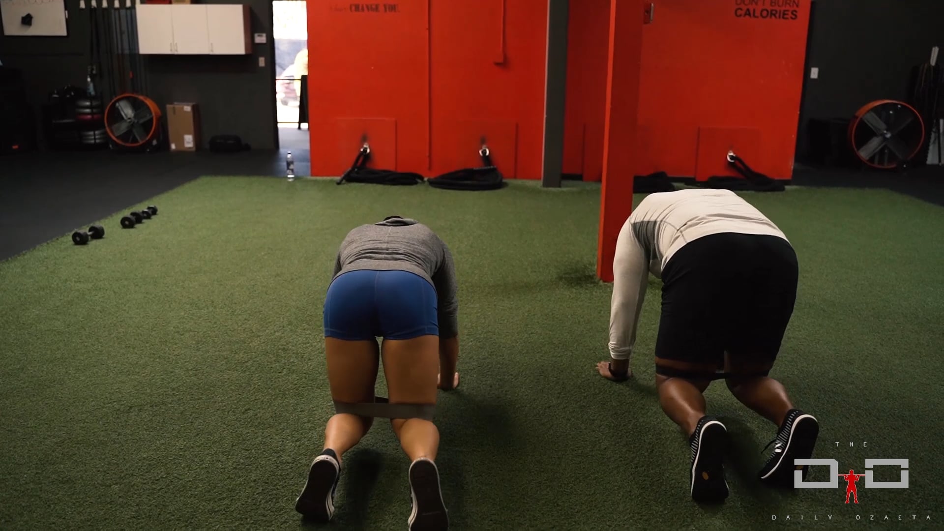 Individual Workout 8 - Linear Bear Crawl