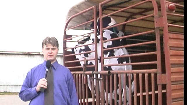 Mad Cow