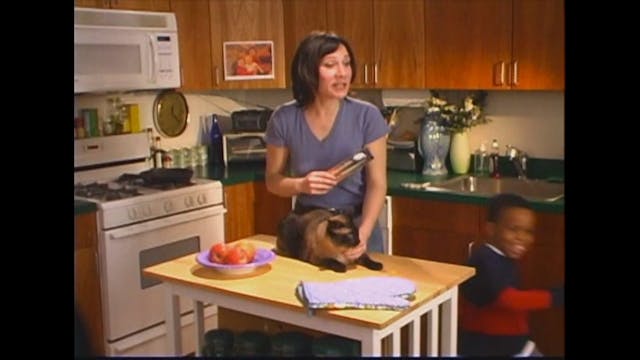 Pet O File