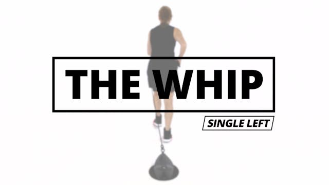 THE WHIP - Single Left