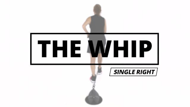 THE WHIP - Single Right