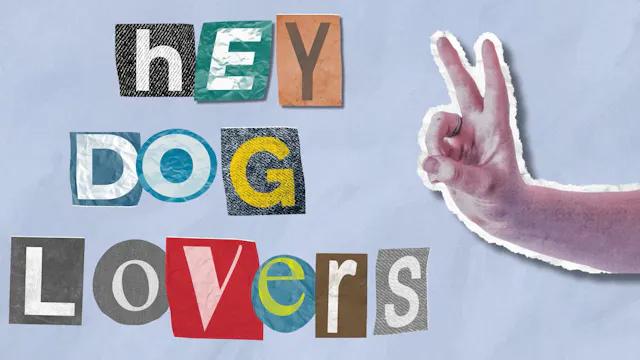5 Facts About Dogs