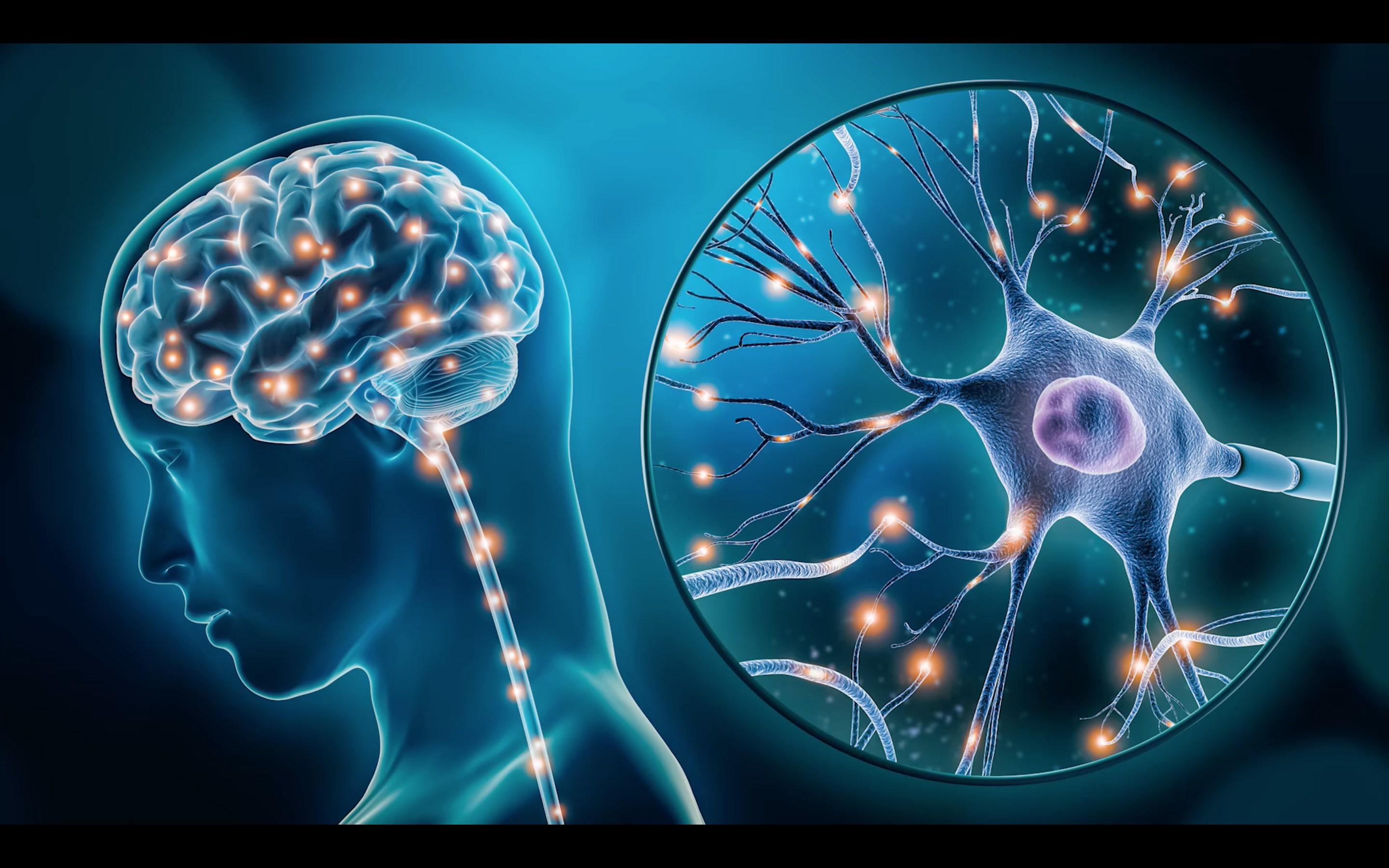 History of Neurodiversity