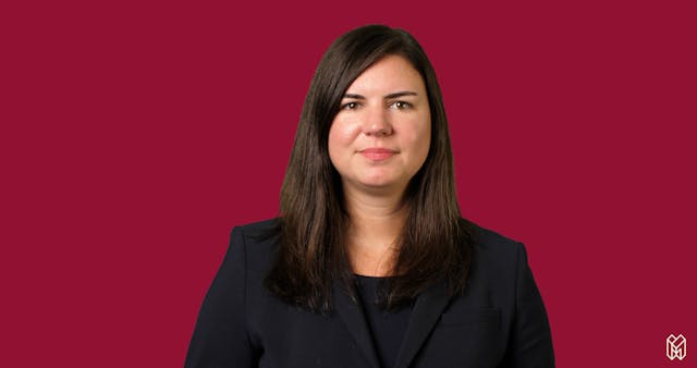 What is the Myth of the Model Minority?