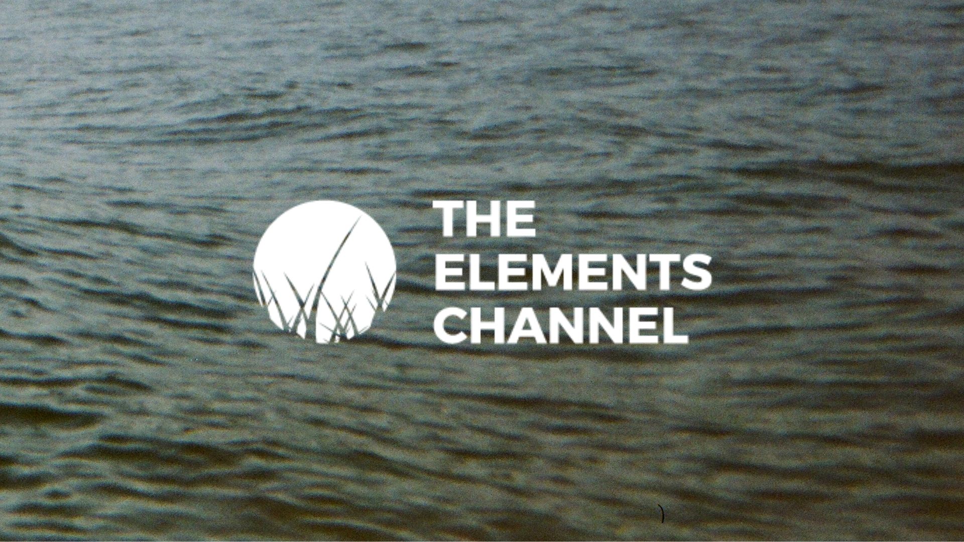 The Water Experience