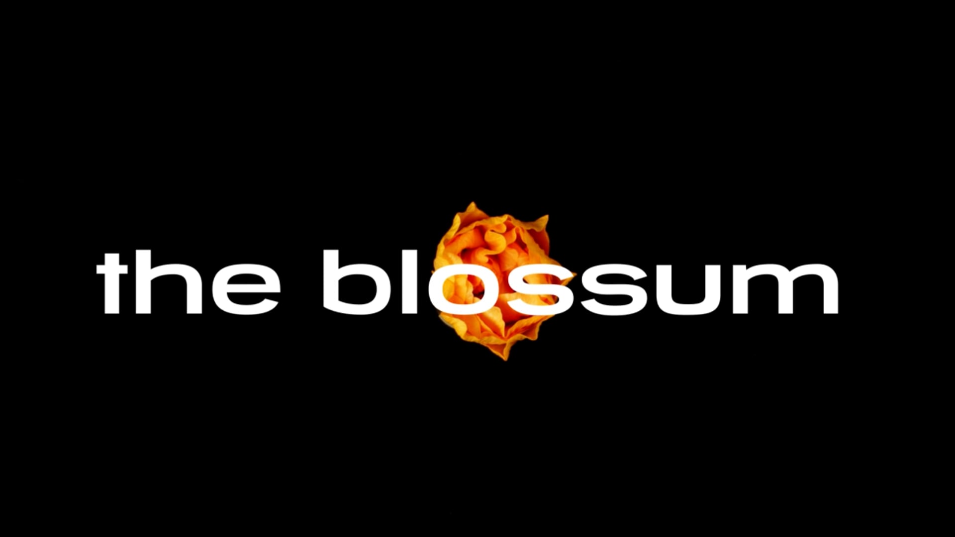 The Blossum TV
