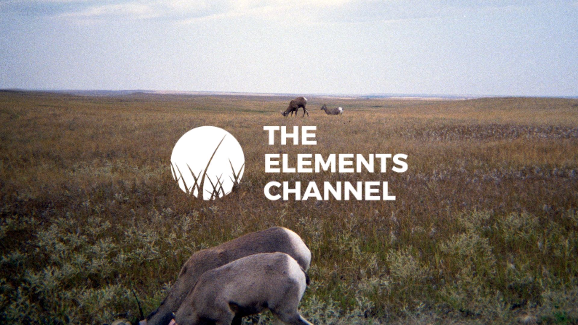 The Earth Experience