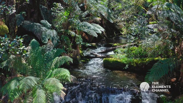 GREAT OTWAY NATIONAL PARK