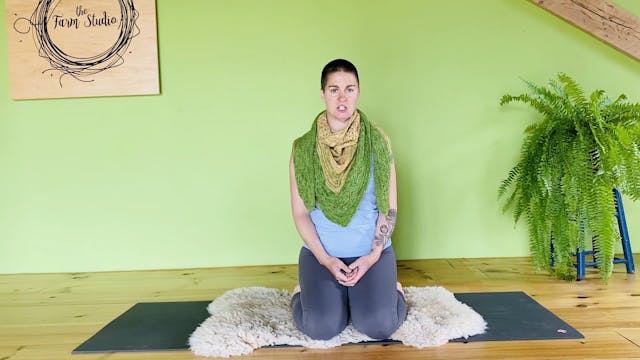 Establish Your Meditation Practice 
