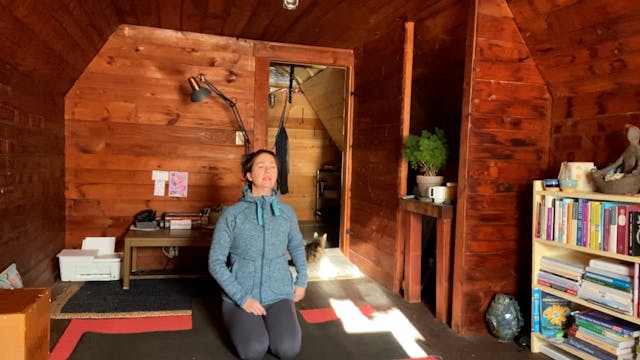 Upper Back, Neck & Shoulder Release