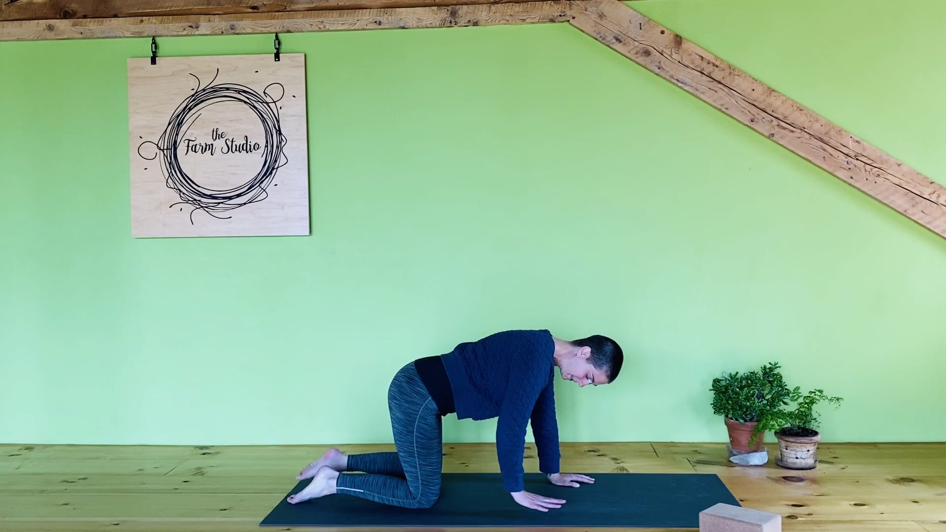 Playful Mobility & Stability 