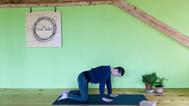 Playful Mobility & Stability 