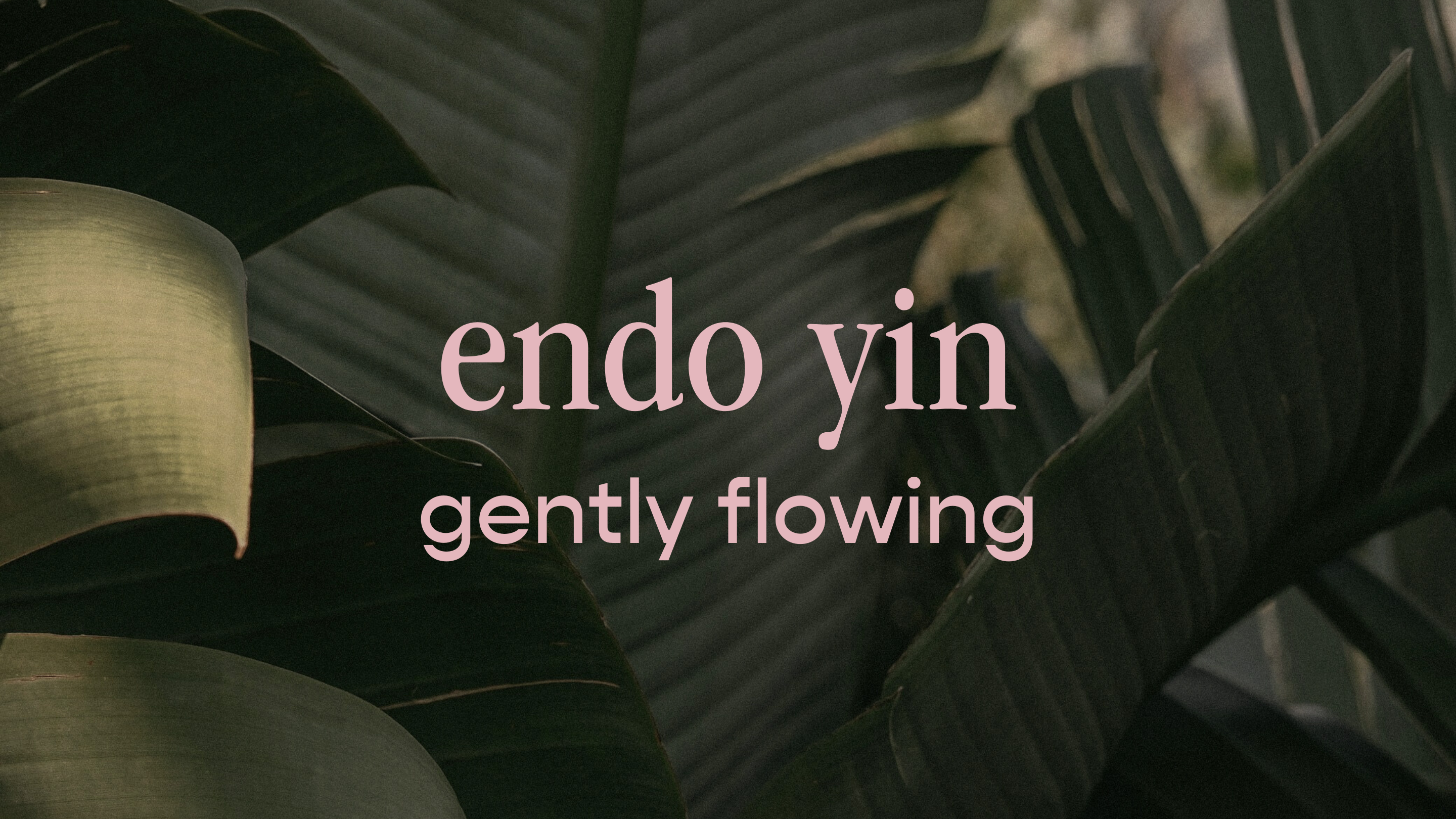 endo yin - gently flowing