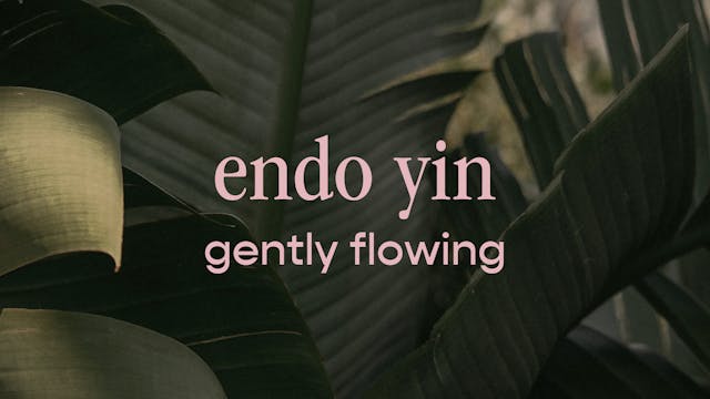 endo yin - gently flowing