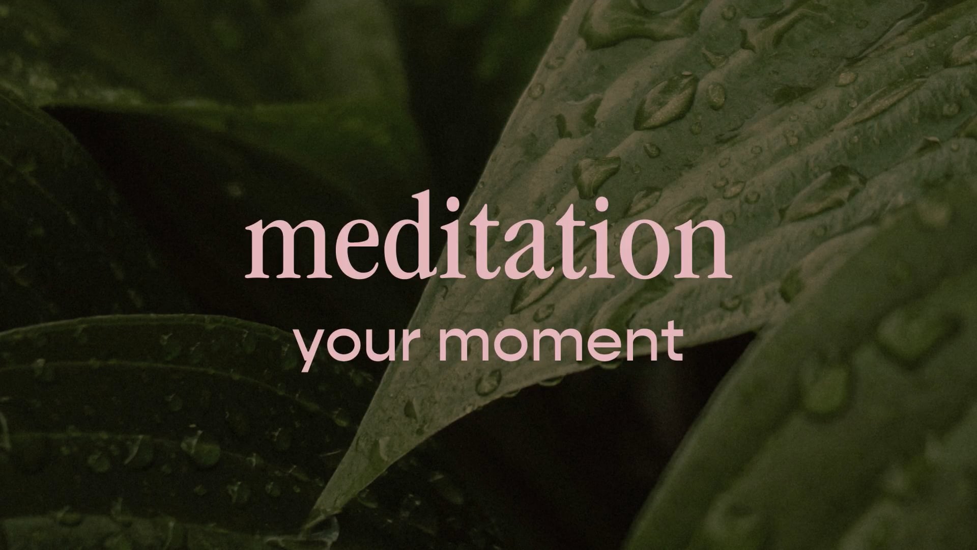 meditation - your moment
