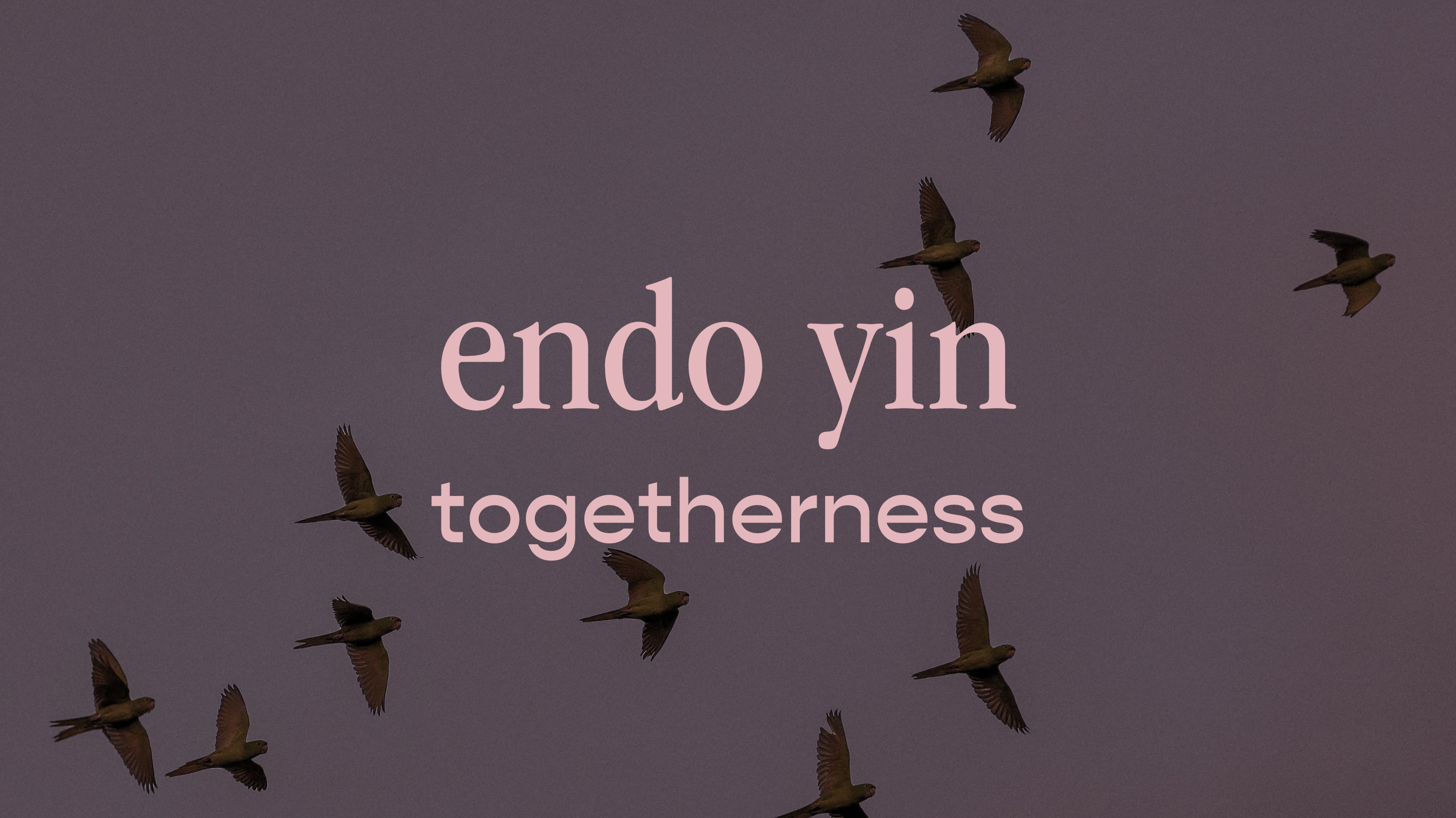 endo yin - togetherness