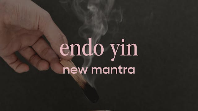 endo yin - new mantra