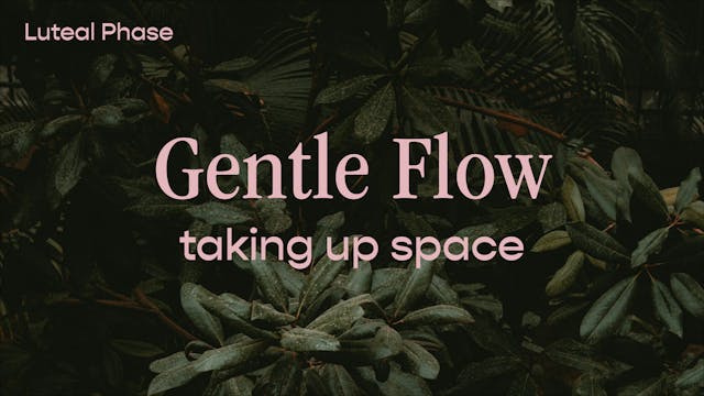 Gentle Flow - taking up space