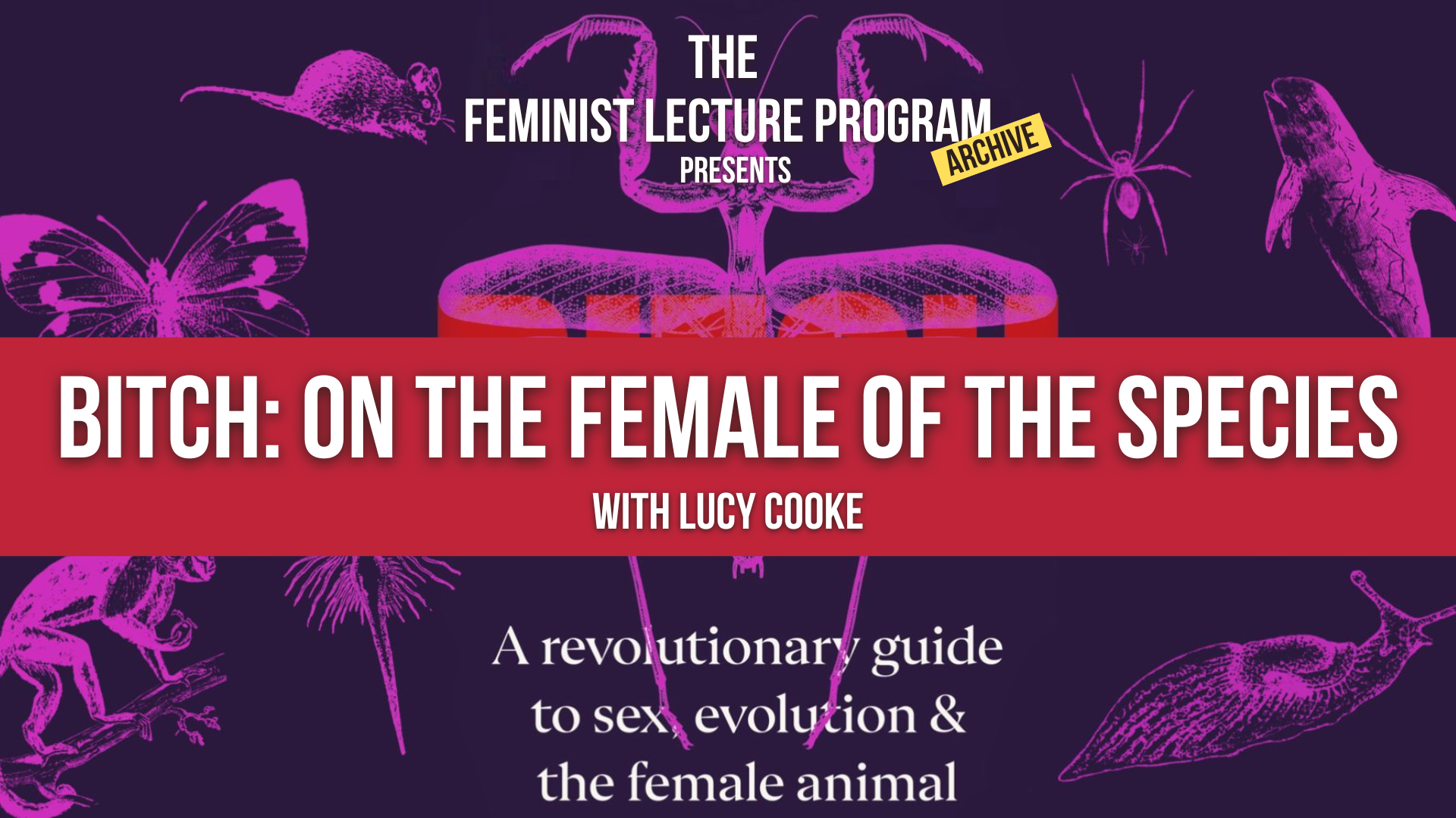 Bitch: On The Female of The Species - READING LIST