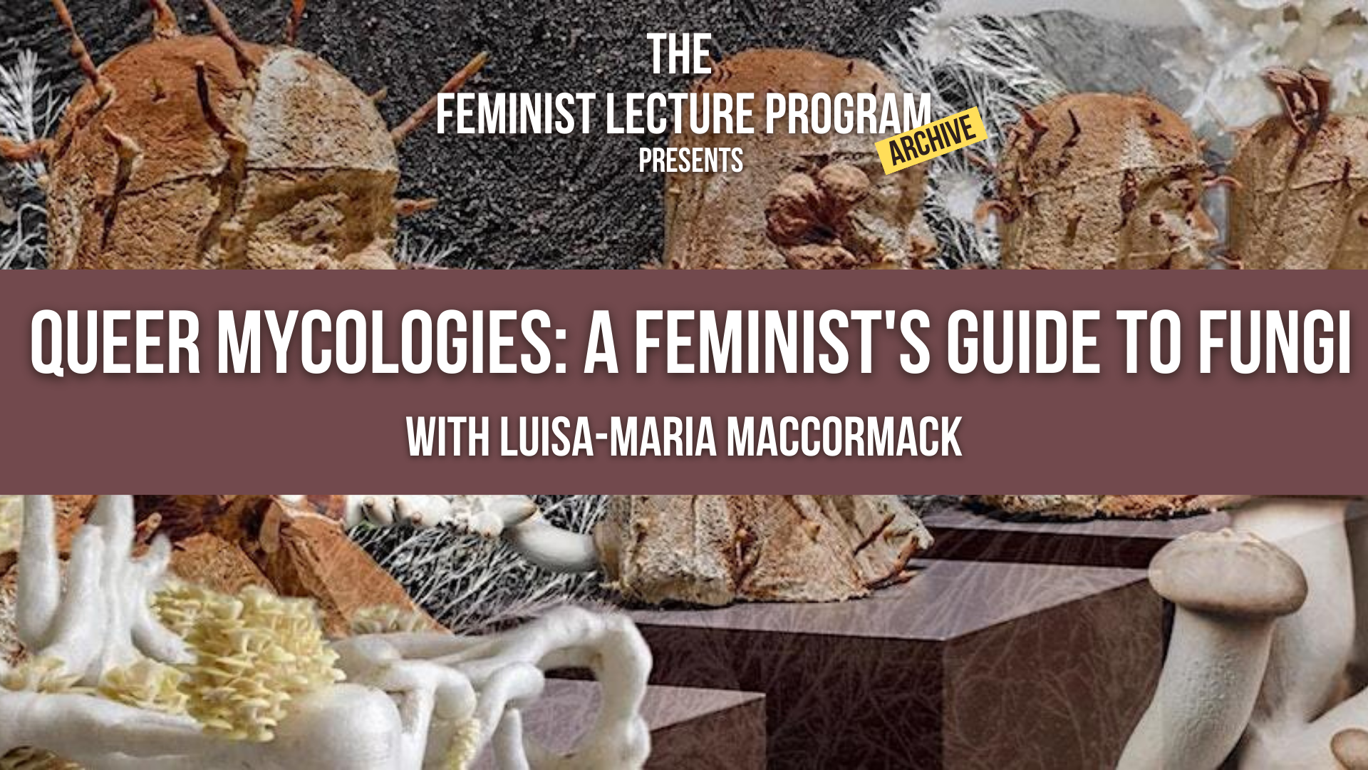 Queer Mycologies: A Feminist's Guide to Fungi - Reading List
