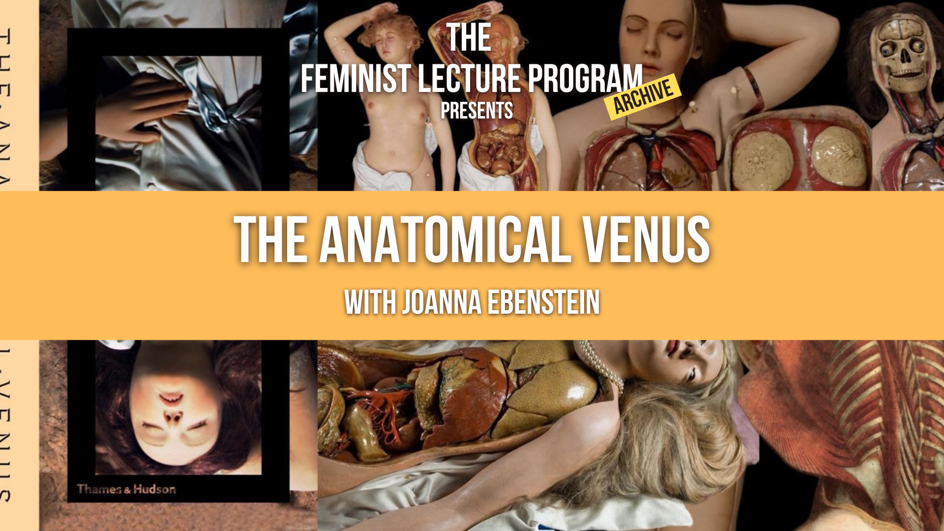 THE ANATOMICAL VENUS - Reading List 