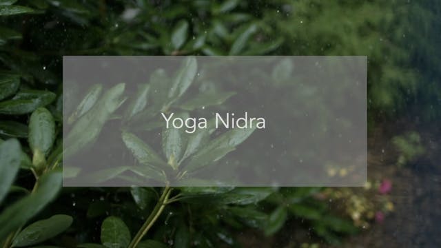 Yoga Nidra