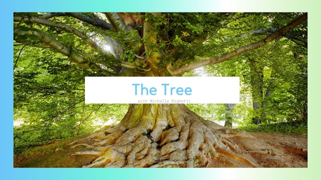 The Tree Meditation