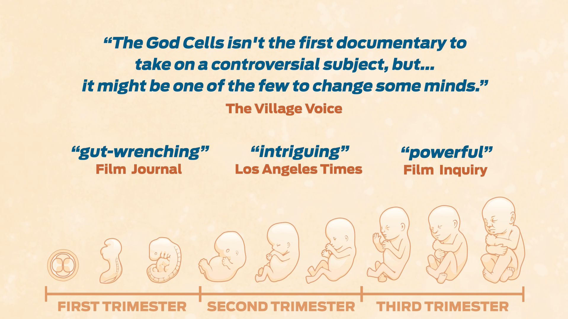 2-Minute Trailer | The God Cells: A Fetal Stem Cell Journey