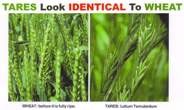 MS-100 Great Divide Part 1