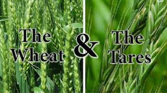 MS-101 The Great Divide Part 2 revised